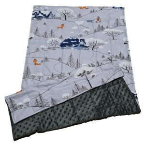 Kołdra Obciążeniowa - Terapia sensoryczna - Zima - Bawełna + Minky